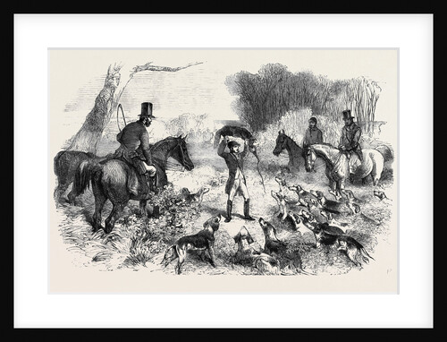 A Fox Caught in a Trap by Anonymous