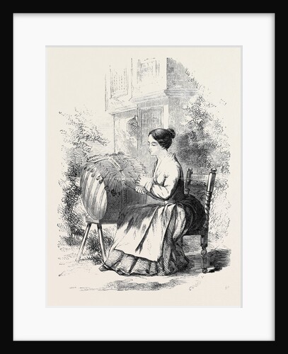 Pillow Lace Working in Bedfordshire by Anonymous