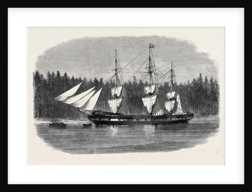 The Ship Wacousta Loading Timber for Mast Pieces at Puget Sound British Columbia by Anonymous