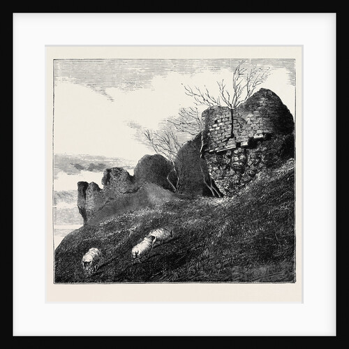 Ruins of Northampton Castle. by Anonymous
