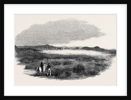 Site of a Proposed Camp at Woolmer Forest by Anonymous