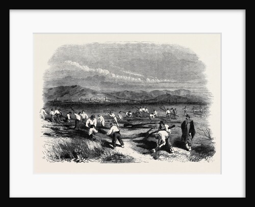 The War the Sardinians Cutting Down the Trees in the Vicinity of Alessandria by Anonymous