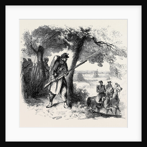 The War Piedmontese Vidette by Anonymous