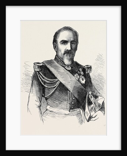 General Camou Commander of the 2nd Division of the Imperial Guard by Anonymous