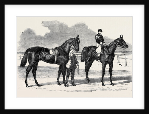 The Winners of the Derby and the Oaks, Musjid the Winner of the Derby Summerside the Winner of the Oaks by Anonymous