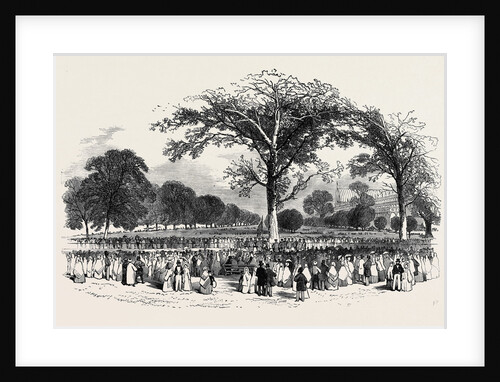 Kensington Gardens, the Band. by Anonymous