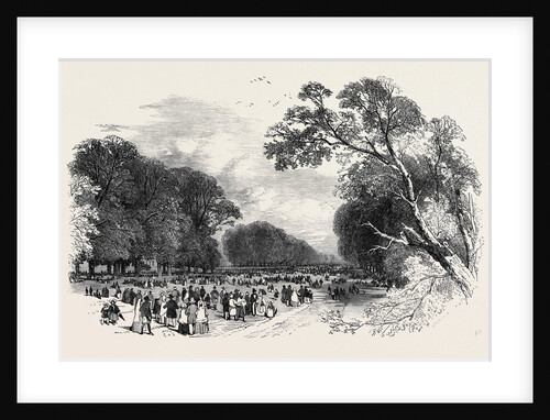 Kensington Gardens, the Broad Walk by Anonymous