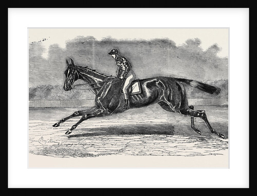The Winner of the Newmarket July Stakes, Lord John Scott's B.C. Brother to Elthiron by Anonymous