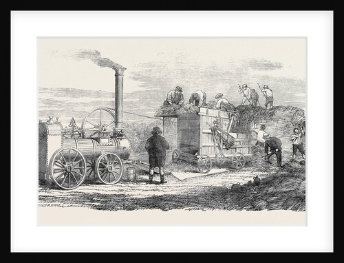 Hornsby's Portable Steam Engine and Threshing Machine, the Great Exhibition by Anonymous