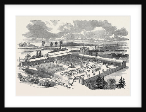 New Cattle Market at Croydon by Anonymous