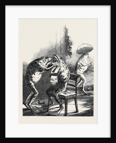 Stuffed Frogs, from Wirtemburg, from a Daguerreotype by Claudet by Anonymous