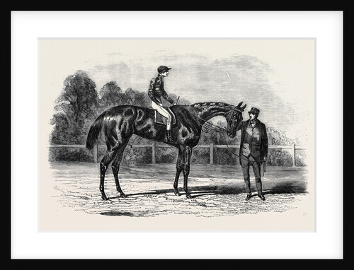 Nancy, Winner of the Goodwood Cup, 1851 by Anonymous