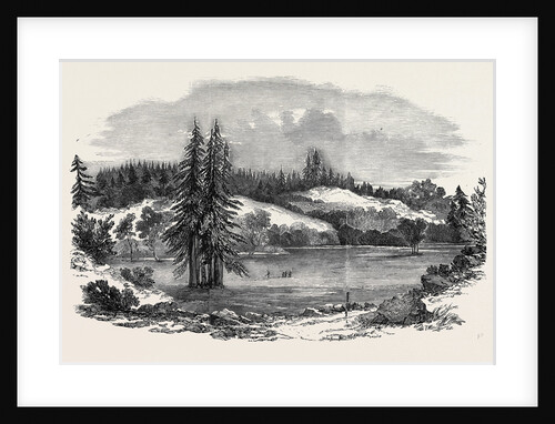 View of the Country Near Russian River, 100 Miles North-West of San Francisco by Anonymous