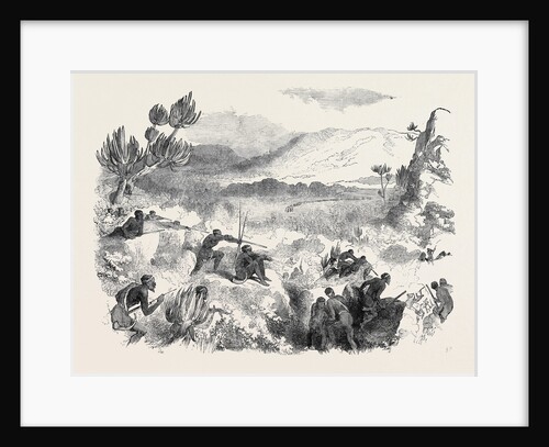 The War in Kaffraria, Kaffirs Attacking Infantry in Keiskamma Gorge by Anonymous