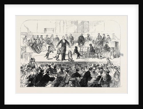 Christmas Soiree at the Hanover Square Rooms of the Association in Aid of the Deaf and Dumb 1869 by Anonymous