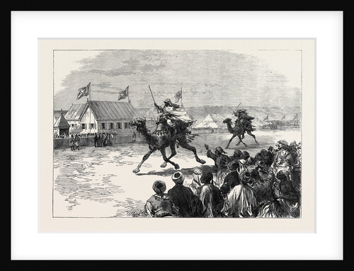 Fetes of the Viceroy of Egypt at Cairo: The Dromedary Race 1869 by Anonymous