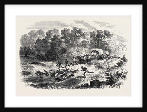 Travelling in Africa: The Rain-Pool by the Way 1869 by Anonymous