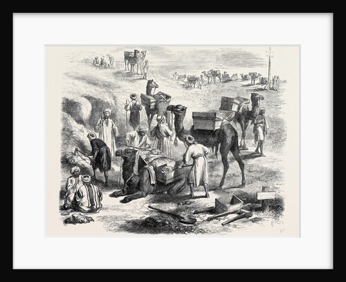 The Isthmus of Suez Maritime Canal: Workmen Loading Dromedaries 1869 by Anonymous