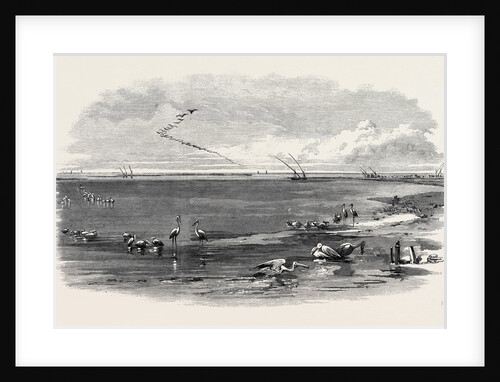 The Isthmus of Suez Maritime Canal: Lake Menzaleh 1869 by Anonymous