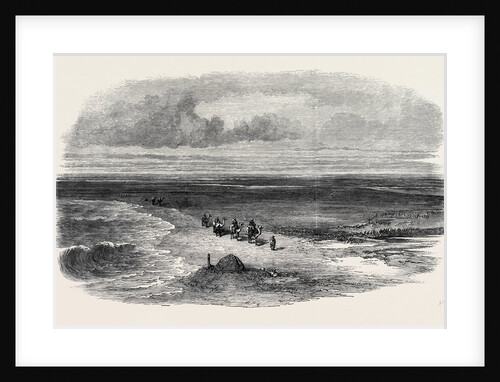 The Isthmus of Suez Maritime Canal: The Pelusian Plain 1869 by Anonymous