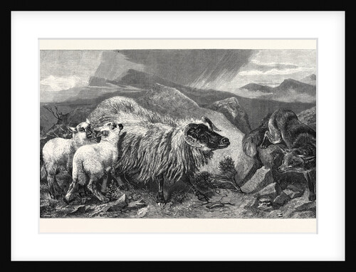 The Unwelcome Visitor, in the Exhibition of the Royal Academy 1869 by Anonymous