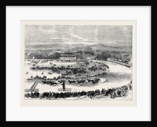 Cork Park Races: The Grand National Steeplechase 1869 by Anonymous