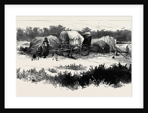 Gipsy Life Round London: Encampment at Mitcham Common 1880 by Anonymous