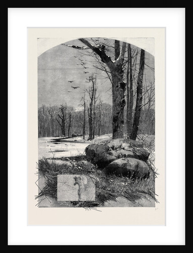 The Months: January by Anonymous