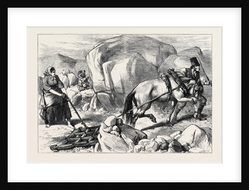 Ireland: Harrowing Under Difficulties Mountain Farm in County Mayo 1880 by Anonymous