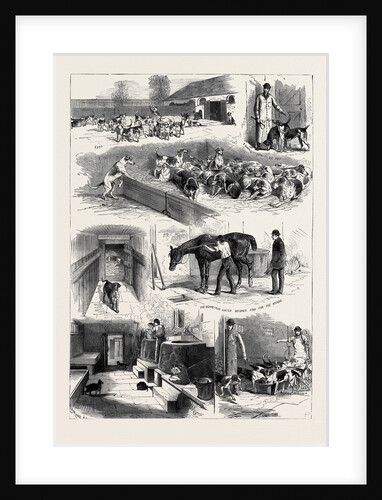 The Royal Buckhounds: The Kennels at Ascot 1880 by Anonymous