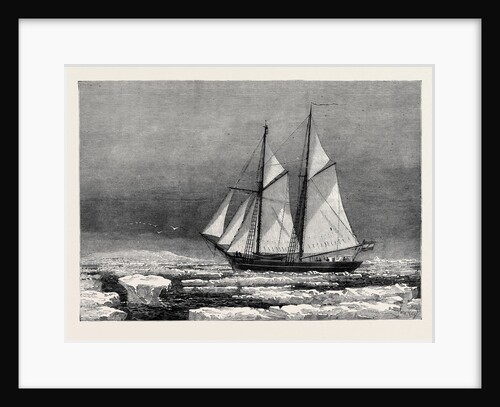 The Dutch Arctic Expedition: The Schooner Willem Barents Sighting Franz Joseph Land Sept. 7 1879 by Anonymous