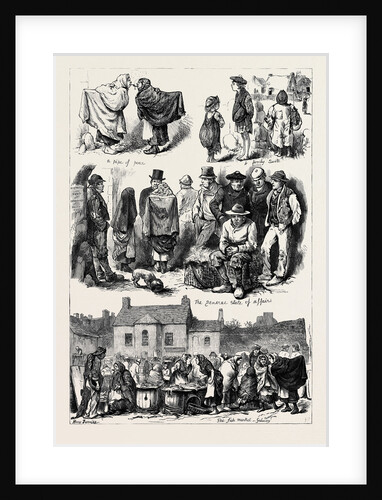 The State of Ireland: Sketches in Galway 1880 by Anonymous