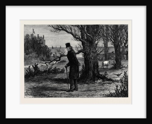 The General Election: The Calm Before the Storm: A Sketch at Dalmeny on Saturday April 3 1880 by Anonymous