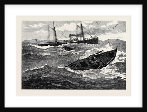 An Incident During the Search for H.M.S. Atalanta 1880 by Anonymous