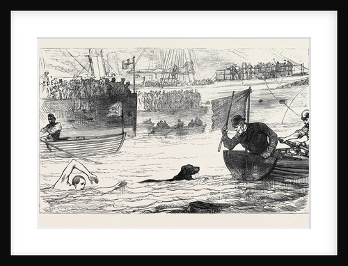 Swimming Match Between a Dog and a Man 1880 by Anonymous
