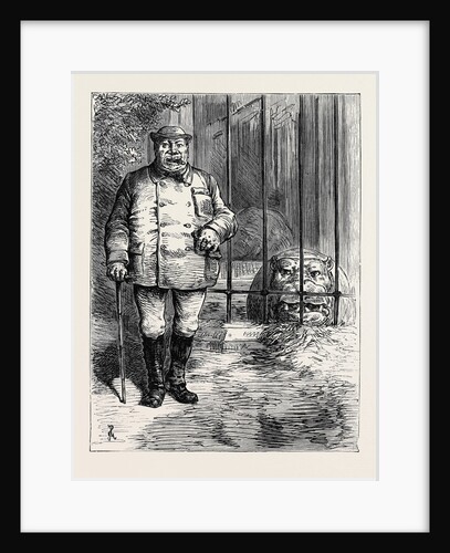 At the Zoological Society's Gardens in London: Pachydermatous or Thick-Skinned Animals 1880 by Anonymous