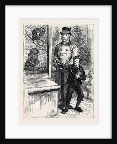 At the Zoological Society's Gardens in London: The Monkeys 1880 by Anonymous