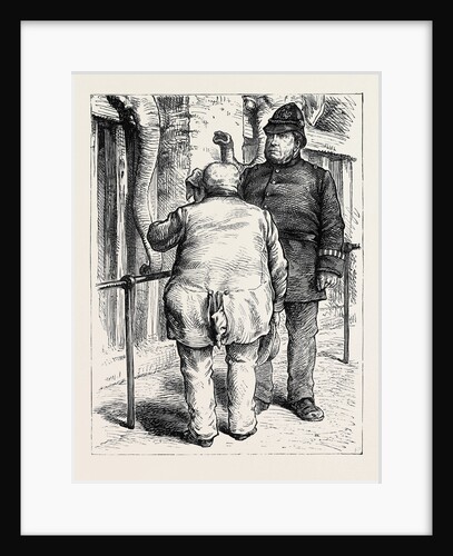 At the Zoological Society's Gardens in London: Pachydermatous or Thick-Skinned Animals 1880 by Anonymous