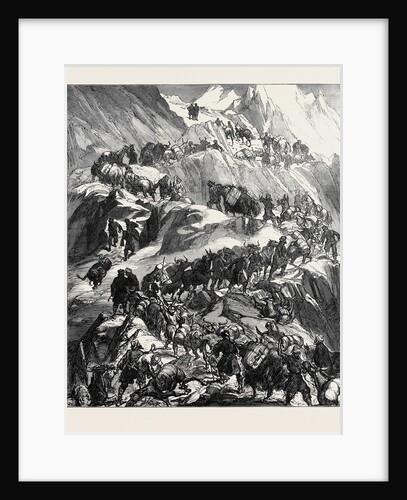 The Yarkund Mission: Mules and Baggage-Train Going Over the Grim (Sanjoo) Pass 1874 by Anonymous