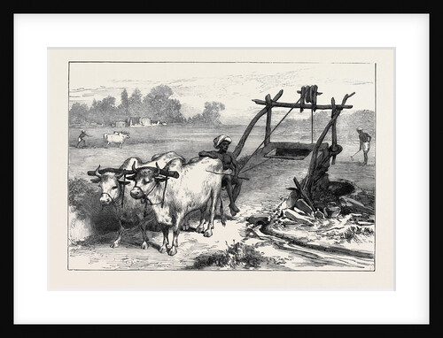 The Famine in Bengal: Indian Mode of Irrigation 1874 by Anonymous