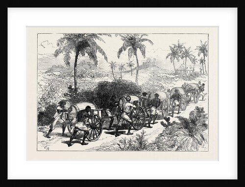 The Ashantee War: The Water Supply of Cape Coast Castle 1874 by Anonymous