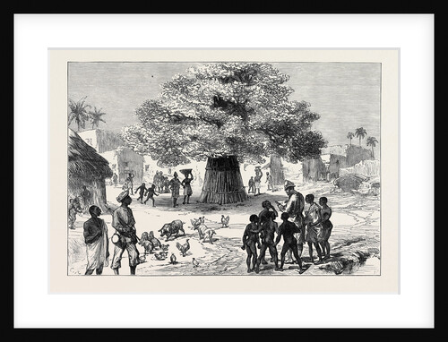 The Ashantee War: Fetish Tree in a Village Near Cape Coast Castle 1874 by Anonymous