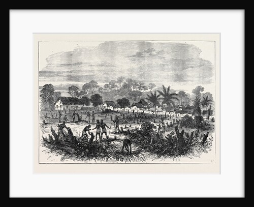 The Ashantee War: The Battle-Field of Abrakrampa 1874 by Anonymous