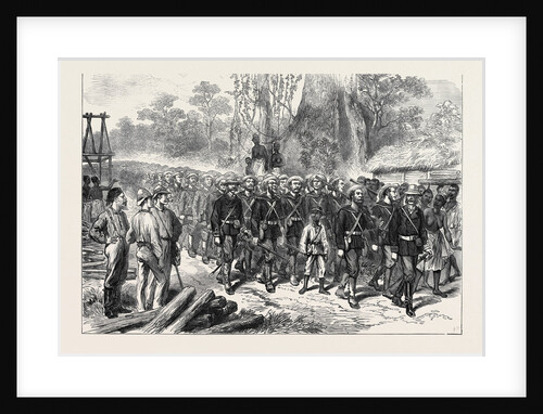 The Ashantee War: Arrival of the Naval Brigade in Camp at Prahsu 1874 by Anonymous