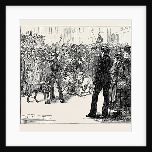 Metropolitan Boroughs Election: Whig and Tory London 1874 by Anonymous