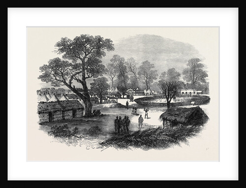 The Ashantee War: The Camp at Dunquah 1874 by Anonymous