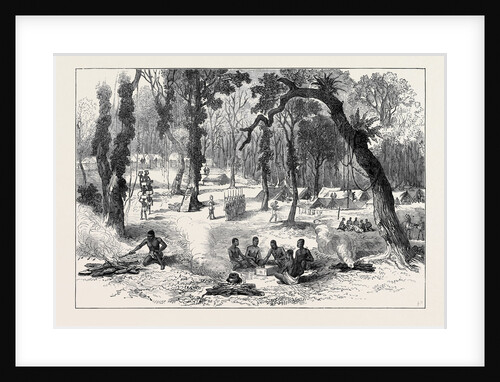 The Ashantee War: Moinsie at the Base of the Adansi Hills 1874 by Anonymous