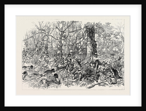 The Ashantee War: Advancing on Coomassie 1874 by Anonymous