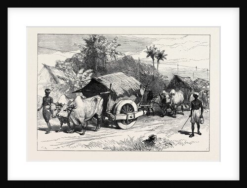 The Famine in Bengal: Bullock Hackeries for Carrying Grain 1874 by Anonymous