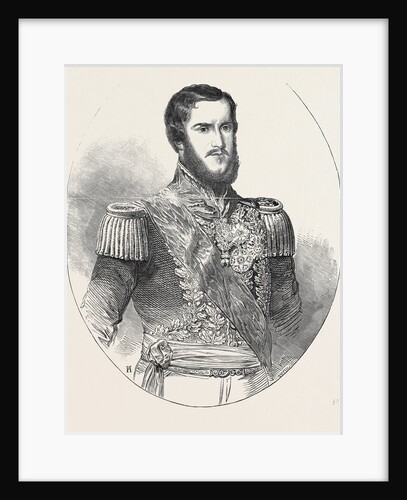 Don Pedro II., Emperor of Brazil by Anonymous